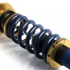cobb_gtr_coilover1