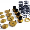cobb_gtr_coilover2